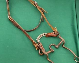 473  Leather headstall with correctional bit 