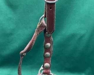 438  Vintage show halter with silver conchos and lead 