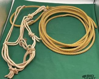 447  Lariat with attached rope halter 