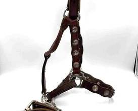 438 Vintage show halter with silver conchos and lead
