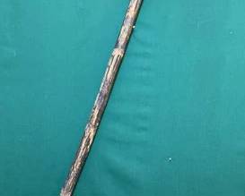 46  Vintage equine measuring cane 