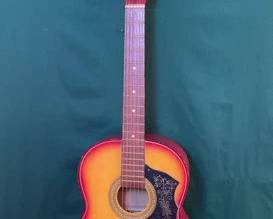 775  Checkmate acoustic guitar with carry case 