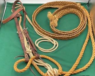 496  Western warmup  Loping bridle 