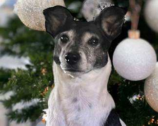 But wait, there’s more!!