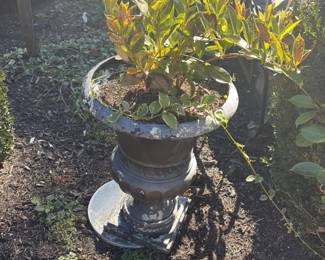 Cast Iron Urn Planter 