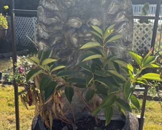 Vintage Stone Planter with Sun Face Motif 