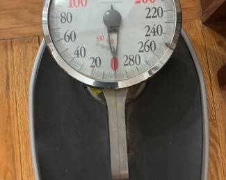 Taylor Professional Mechanical Scale 