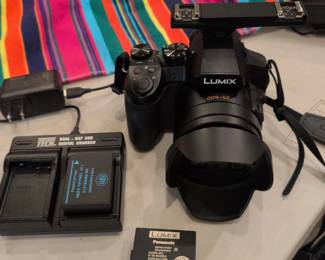 Panasonic LUMIX FZ300 • 4K • 600mm Zoom
Includes: 128GB Card, dual Flash mount, 3 Batteries & Charger – Tested