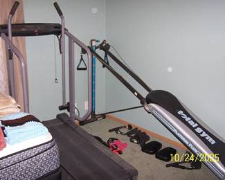 Total Gym and ProForm treadmill