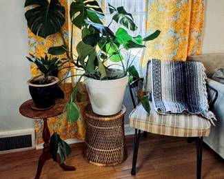 plants, plant stands, sitting chair, blanket