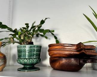 wood vase, plant, wood bowls, plant