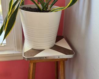 plant, table/stool