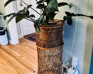 plant/plant stand