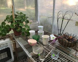 Flower pots and plants