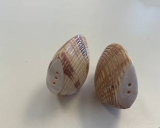SHELL SALT & PEPPER