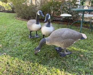 Geese Decoys