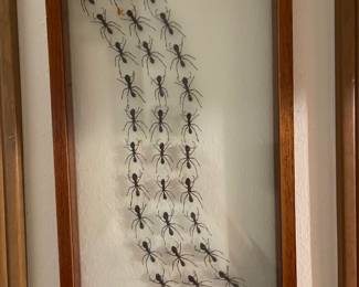 Shadow box ant art