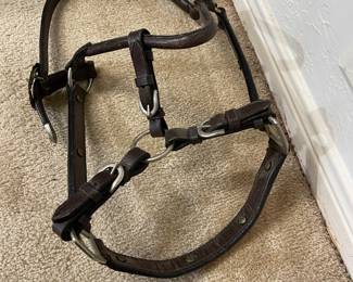 Bridle