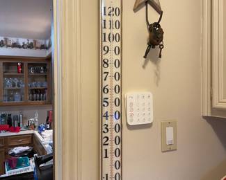 Large thermometer