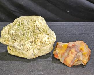 Natural Agate Stone & Natural Fossilized Coral