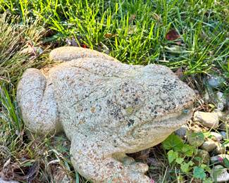 $120 - large concrete, weathered garden frog, 11L x 15W x 9H.