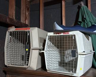 Adopt a dog, cat, or opossum.... use this pet taxi 