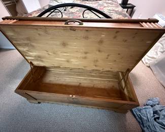 Bottom half of trunk...