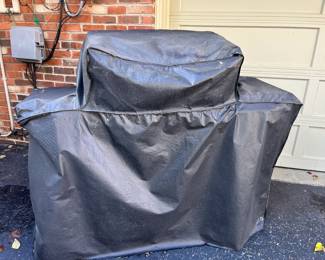 Custom grill cover will keep it nice!
