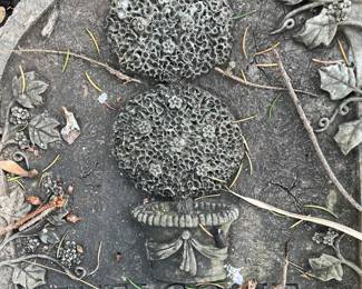 Topiary yard stone