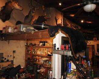 &#128220; For display purposes only.
All taxidermy items, hides, antlers, or bones shown are pending ODFW (Oregon Department of Fish & Wildlife) approval prior to sale or transfer.