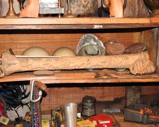 &#128220; For display purposes only.
All taxidermy items, hides, antlers, or bones shown are pending ODFW (Oregon Department of Fish & Wildlife) approval prior to sale or transfer.