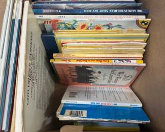 Mystery Lot of Childrens Books