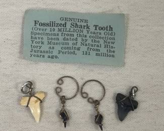 Genuine Fossilized Shark Tooth