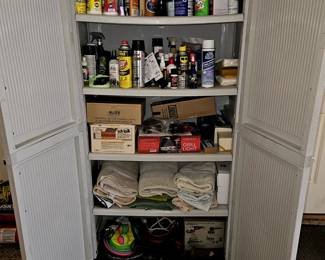 Lots of cleaning products.
(Cabinet not available)