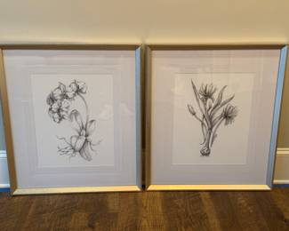 Item - #6.  Uttermost framed Botanicals in pencil. H- 32". W- 28".  Great condition.  Price -$50.00