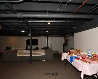 384Basement