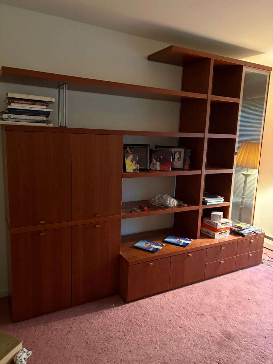 Mid Cetury Modern Wall Unit