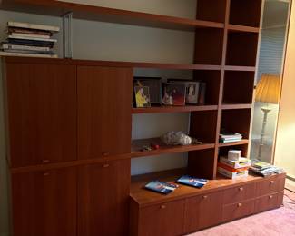 Mid Cetury Modern Wall Unit