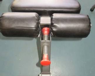 Adjustable Weight/Workout Bench