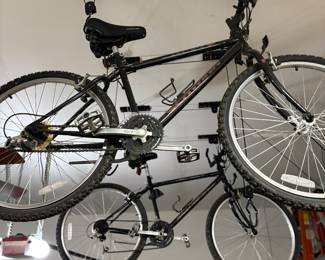 Schwinn multispeed bikes