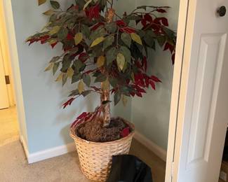 Faux Trees, Women's Shoes