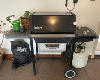 Weber Grill