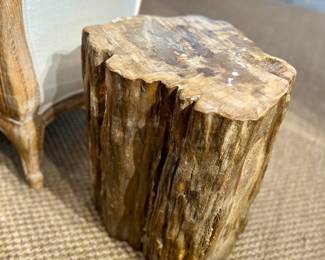 Rare Petrified Wood Side Table, super heavy