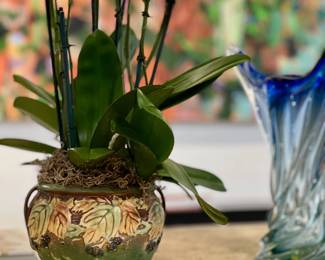 Live Orchid, Vintage Vessel