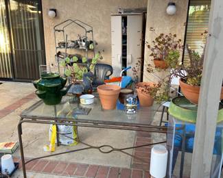 Pots, plants, planters