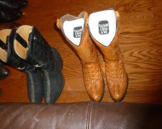 Boots (they're not Dan Post)