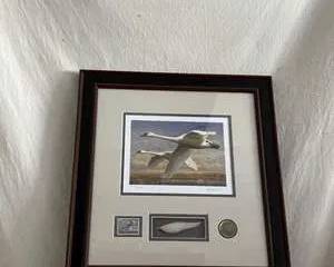 Ducks Unlimited Edition Wildlife Print with Medallion and Stamp by Joe Hautman 7267/10500