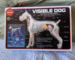 Skilcraft Visible Dog Anatomically Accurate Model Kit Over 9 Inches Long Highly Detailed Parts Fully Illustrated Guide