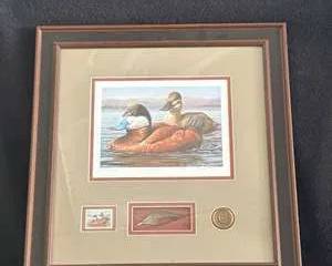 Framed Limited Edition Duck Stamp Print by Jennifer Miller 8912/10500
