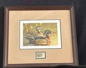 Framed Colorado Waterfowl Stamp Artwork Signed by Richard Clifton FAOO4 69/205